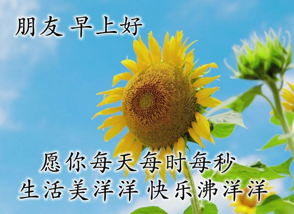 夏天早上好祝福文字图片 非常漂亮的早安祝福图片