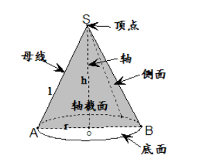 s1>s2 圆锥:以直角三角形的一条直角边所在的直线为旋转轴,其余两边