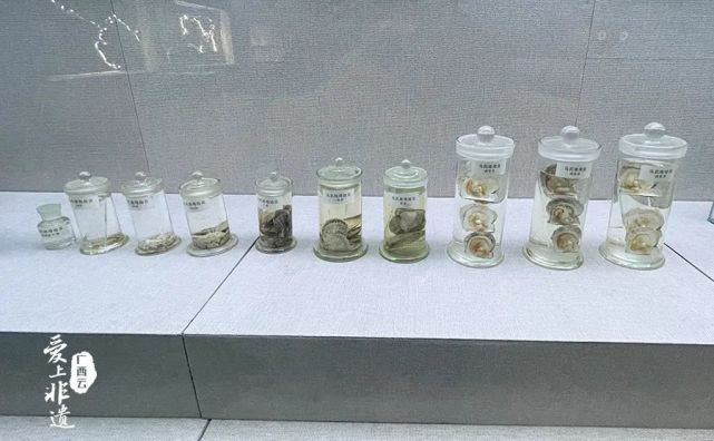 爱上非遗：沧海孕珠 指尖雕贝——探寻海洋文化中的北海印记腾讯新闻 