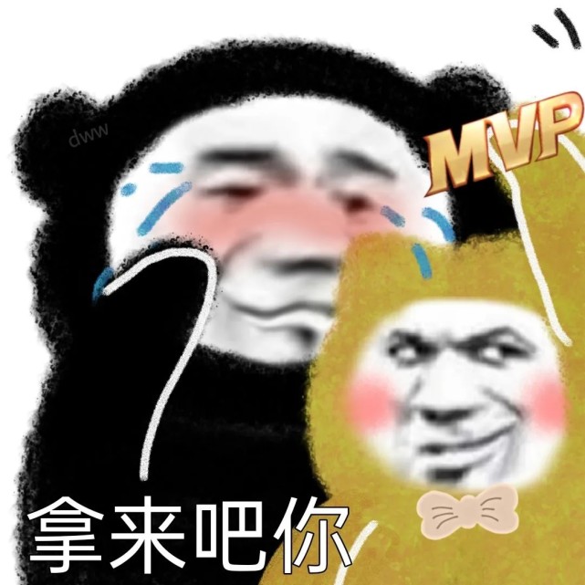 表情包分享:拿来吧你