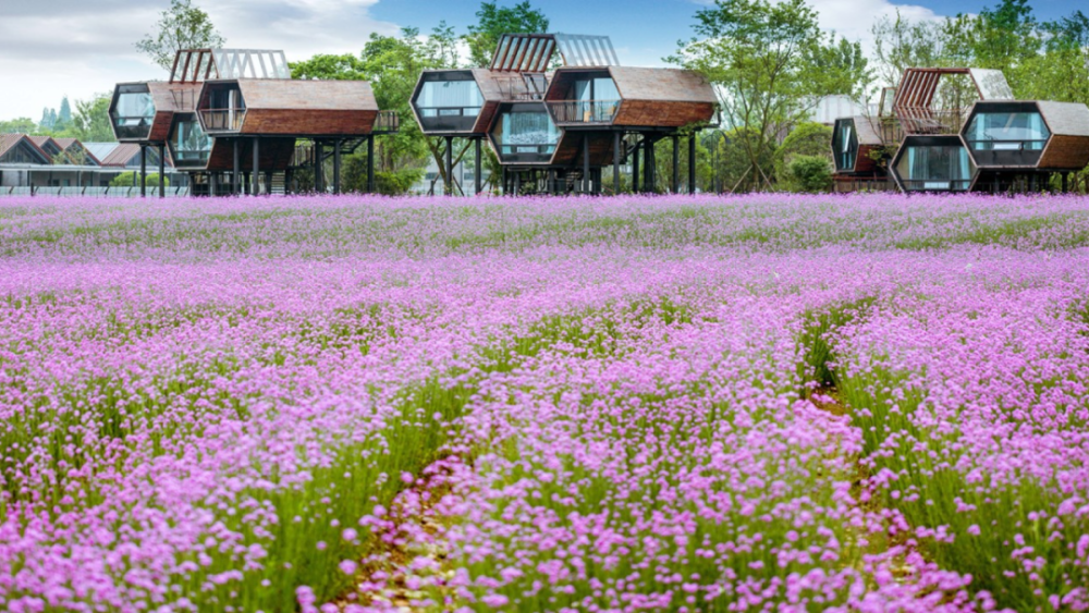 花海林盘—蜂巢民宿