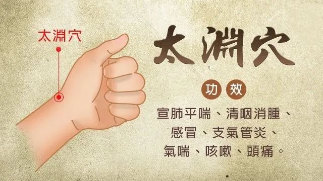 位置:在腕掌侧横纹桡侧,桡动脉搏动处. 局部解剖:有桡 ,揪猜 .