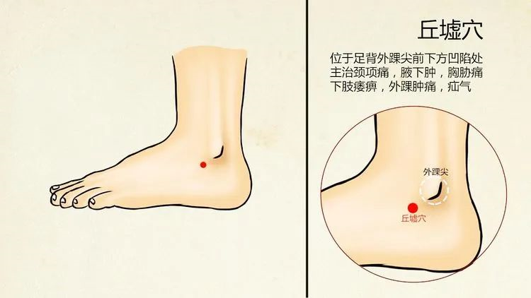 解溪直刺0 5寸,施捻转泻法;丘墟透照海,直刺2.