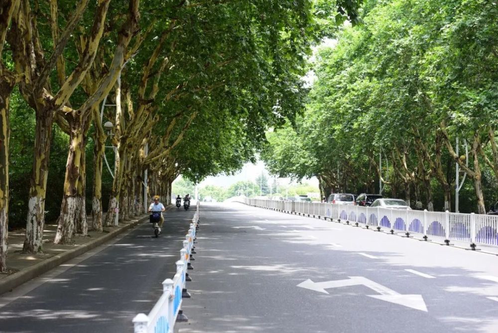 最具代表性的要数 环湖路,太湖大道,梁溪大桥堍,老健康路,石门路,通惠