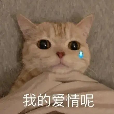 表情包|我只是太想你