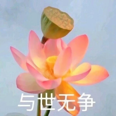 莲花表情包|"清心寡欲"