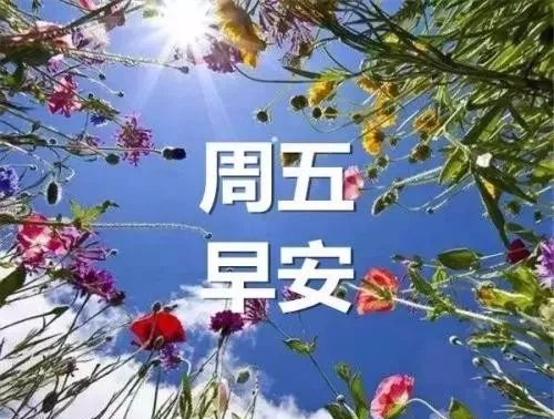 2021年11月5日星期五早上好问候祝福动态表情图片周五最新早安问候语