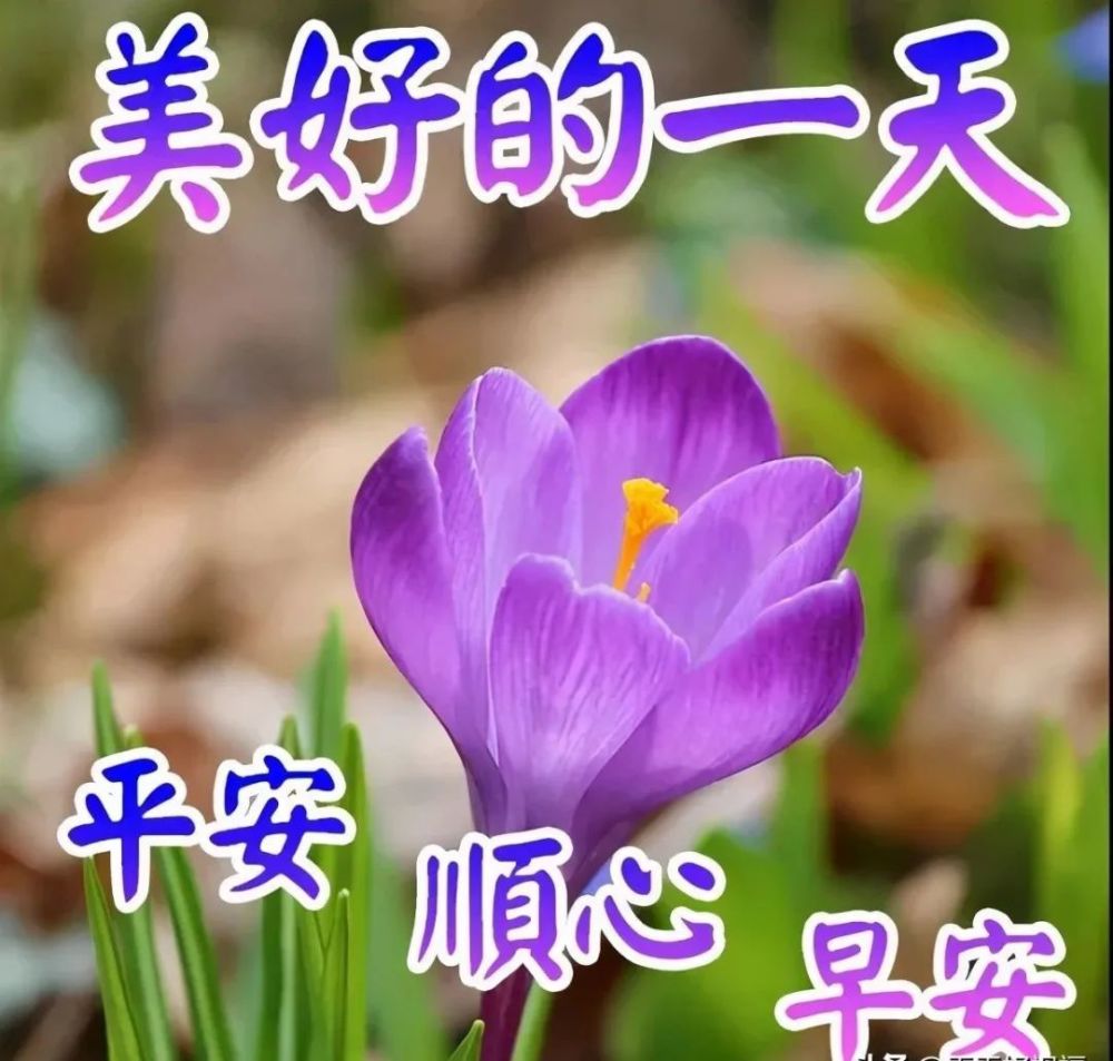 7月16日,早上好!一份思念向远方;朋友意,祝福情,一句祝福愿君康