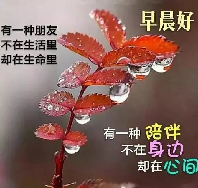 6张大家早上好天气热注意防暑图片祝福 三伏天炎热的夏天问候图片句子