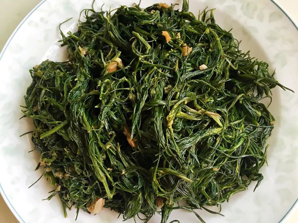 科本就盛产食材,如菠菜,藜麦,灰灰菜,猪毛菜,莙莙菜(俗称牛皮菜)等等