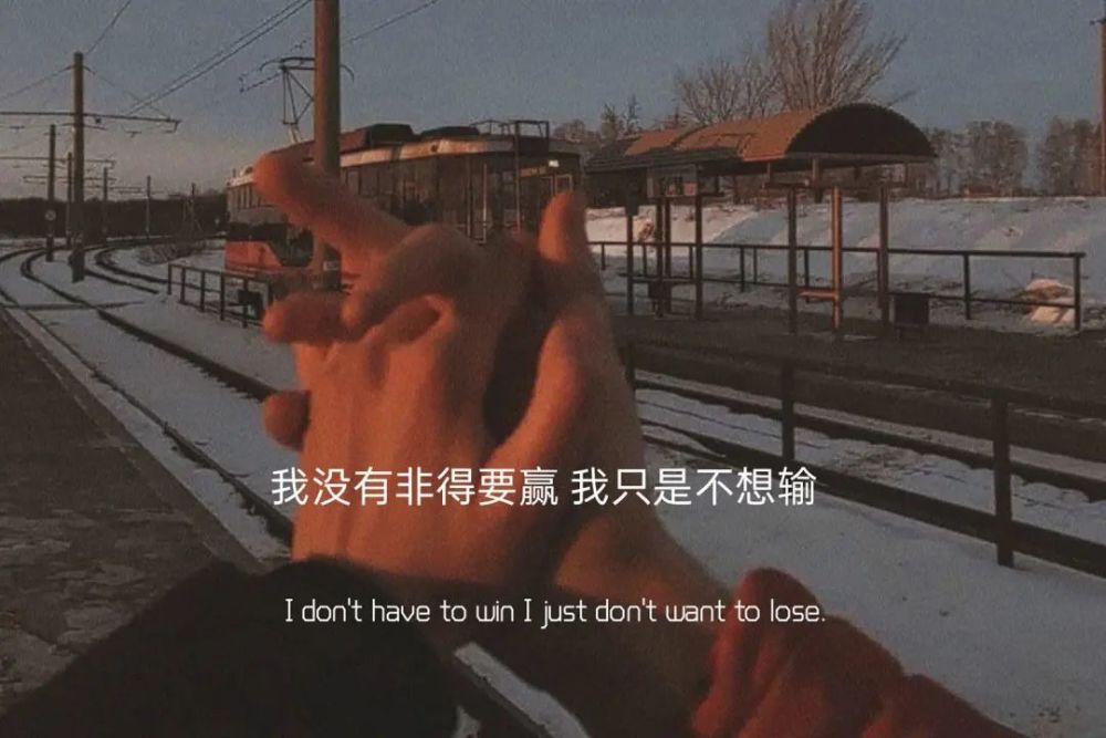 配图|所谓迷茫 清醒沉沦