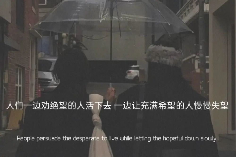 配图|所谓迷茫 清醒沉沦