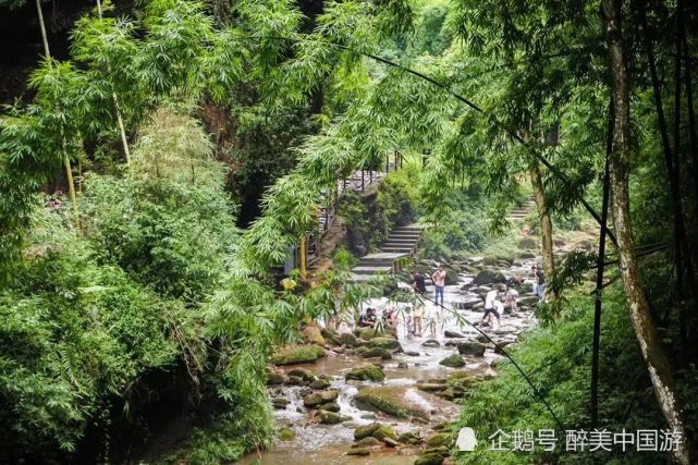 探访川西竹海景区,风景秀美,空气清新