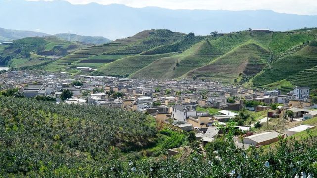 【看百年云岭巨变 悟光辉思想伟力】鸡足山镇新川村