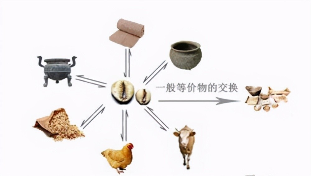 古人用贝壳当货币,为啥不多捡点一夜暴富?学者:不捡才