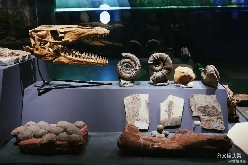 入选时间:2012年澄江化石地位于我国云南澄江帽天山附近,产出地层为