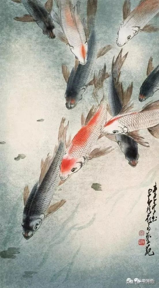 花鸟大师-赵少昂画的鱼
