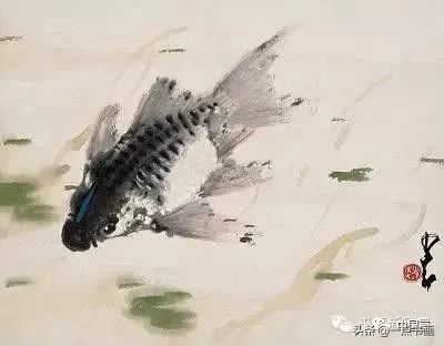 花鸟大师-赵少昂画的鱼