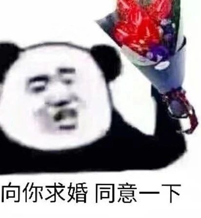 表情包:向你求婚,同意一下