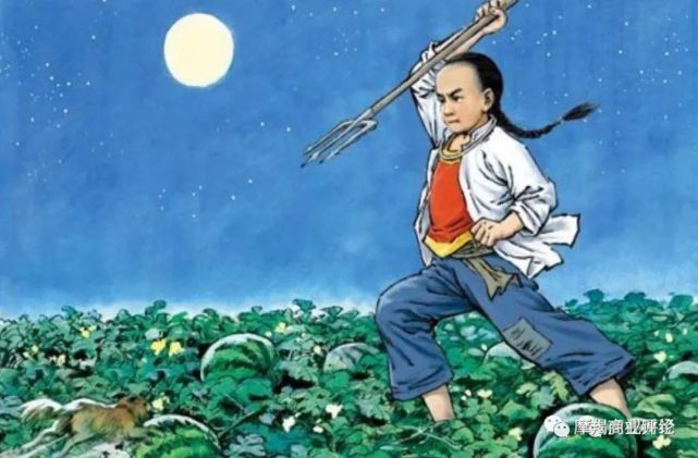 图片