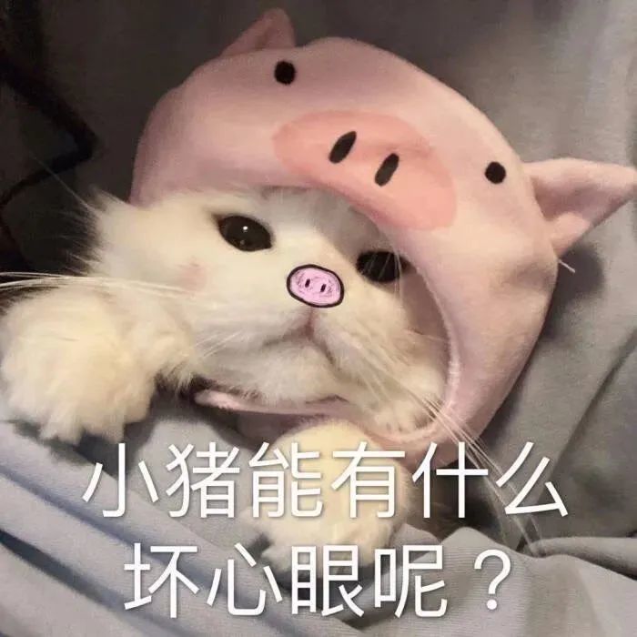动态表情包:游泳表情包图片大全0716期