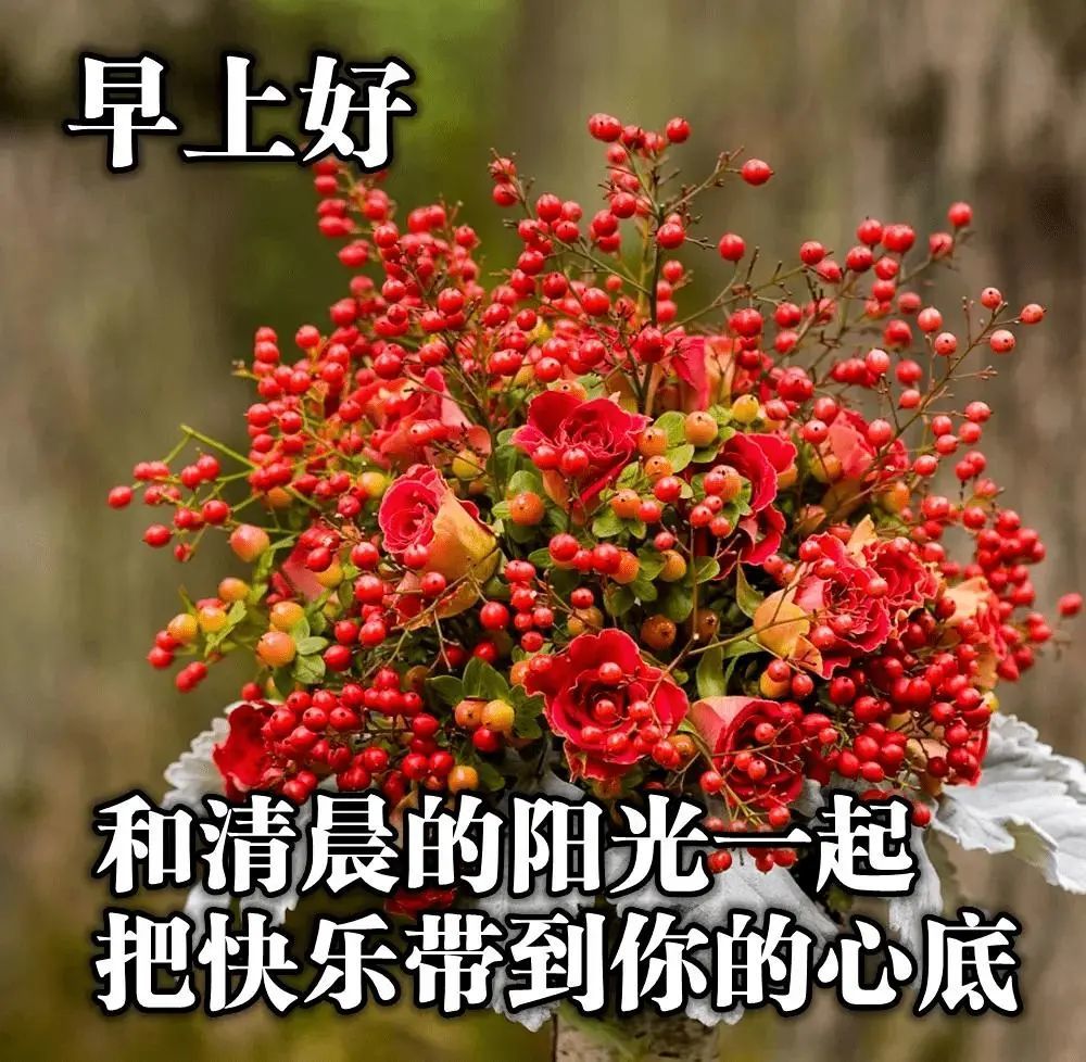 早上好朋友,清晨早上好问候祝福动态表情图片,最新早安问候祝福图片带