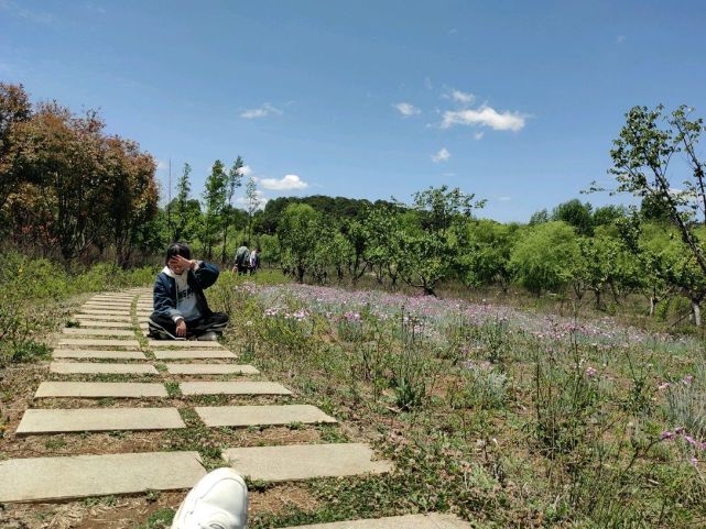 贵州威宁北坡生态公园