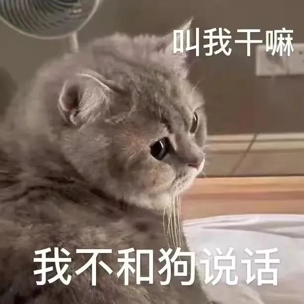 无聊时拿去发给你家臭宝的表情包