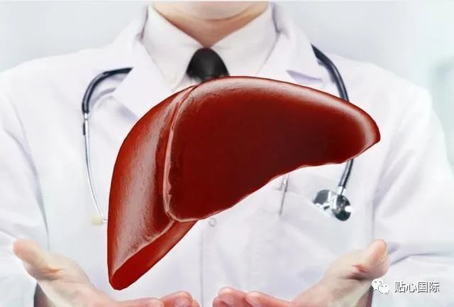 【贴心医生】肝癌的早期症状有哪些?肝癌要注意这些事情