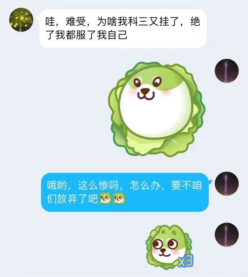 今天qq菜汪出个了等级表网友摄像头拆了