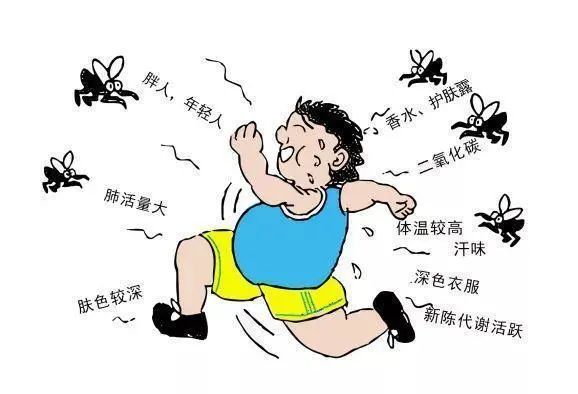 蚊子吸血如何挑幸运鹅几个小妙招助您在夏日驱蚊防蚊