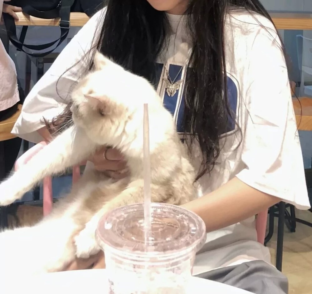 仙女头像丨不如两清做回甲乙丙丁