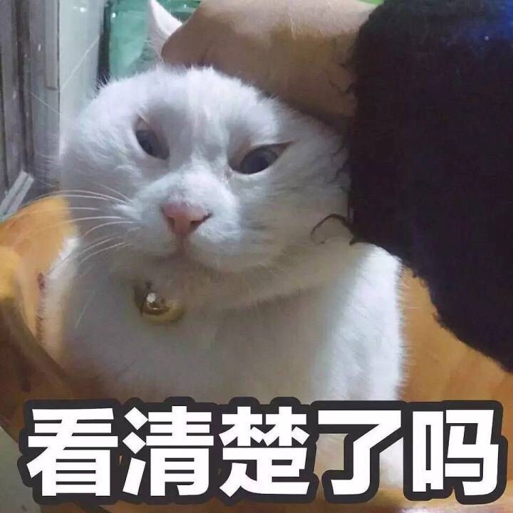 猫猫狗狗表情包