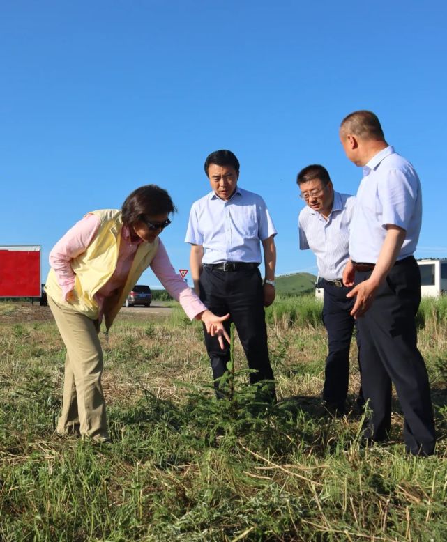 布小林调研内蒙古大兴安岭及周边地区已垦林地草原退耕还林还草试点