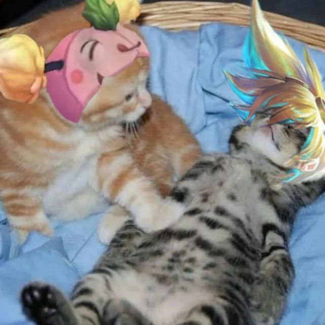 猫咪英雄联盟表情包
