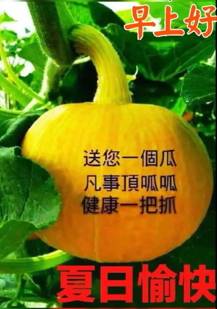 夏季很漂亮的祝福表情图片带字 夏日全新早上好问候唯美句子_腾讯新闻