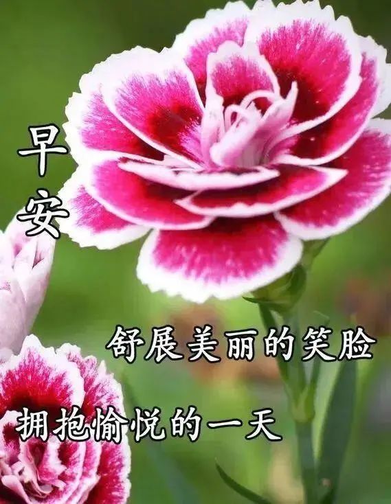 早上好朋友,暖心的早安问候短信祝福语,漂亮图片问候