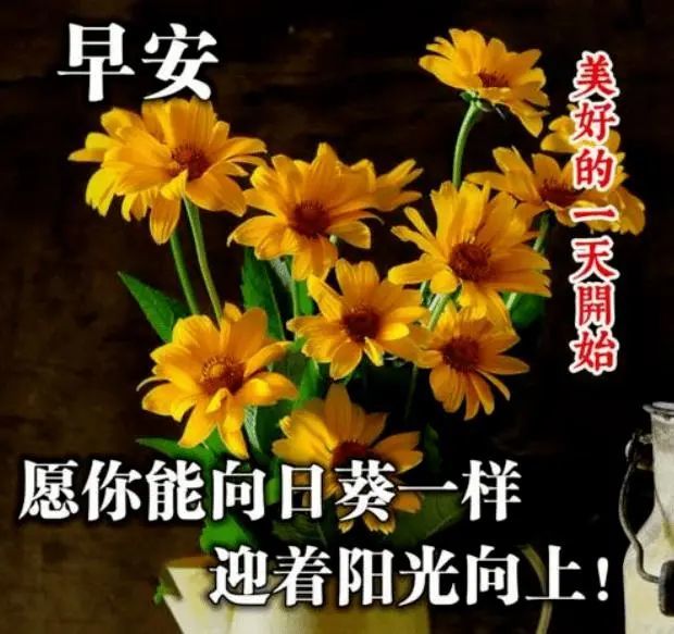 早上好朋友,早上好暖心问候语和关心话,漂亮的早上好