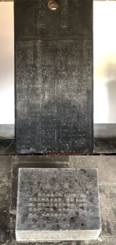 人口皆碑_李宁大学生联赛南区参赛球队介绍 同济大学(2)