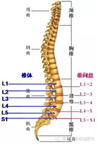 腰椎4/5节突出,屁股疼,怎么回事?