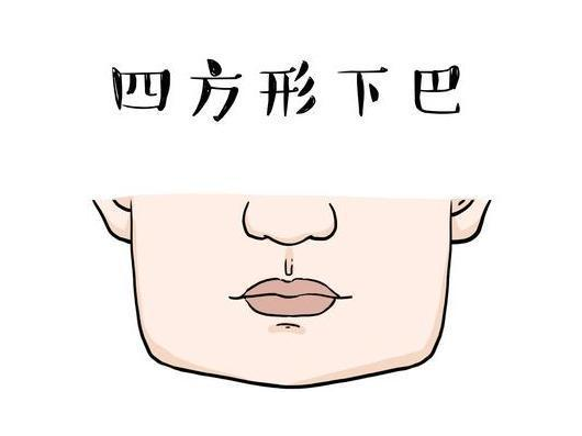 心理学:6种嘴型代表不同性格,职场道路也有不同,你属于哪种?