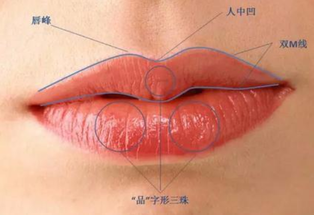 心理学:6种嘴型代表不同性格,职场道路也有不同,你属于哪种?