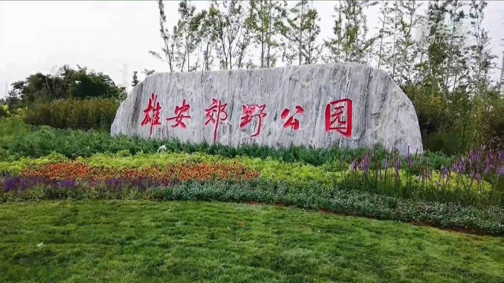 探访中国最大城市郊野公园之一——雄安郊野