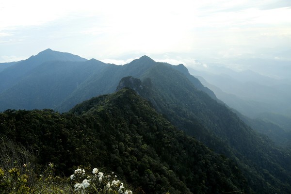 盘点海南五大高山,最高峰五指山1867米,你去过几处?