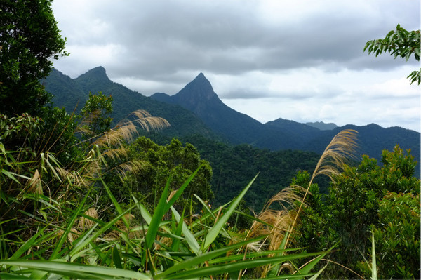 3,吊罗山 吊罗山国家森林公园位于海南陵水县,这里风景秀美,是一个