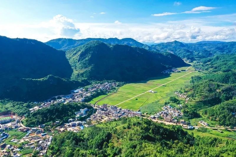 保山| 昌宁茶山史话 古树逢春茶乡美