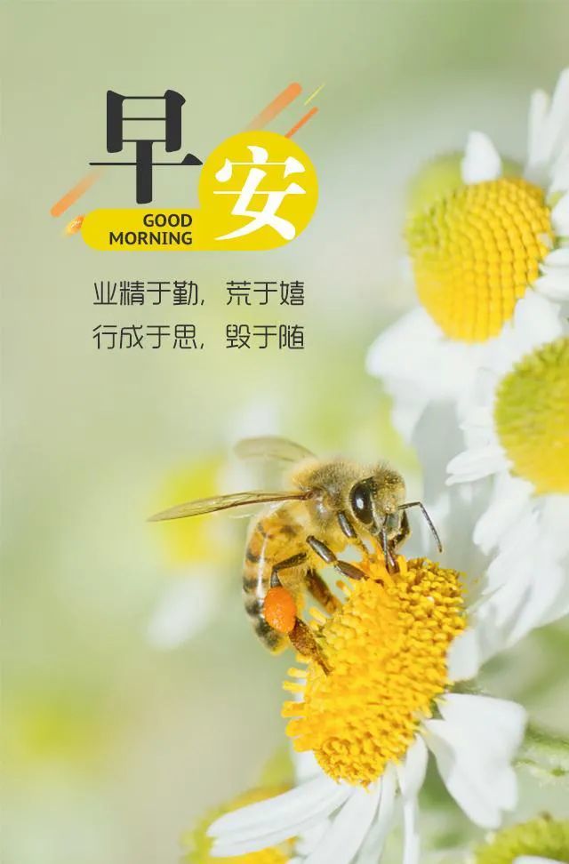 8月26日早安|新的一天,新的起点!|心语|正能量