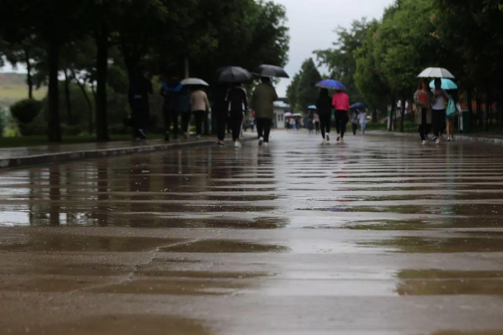 南京一大学生光脚在雨中奔跑,3000元的鞋抱在怀里,舍不得穿