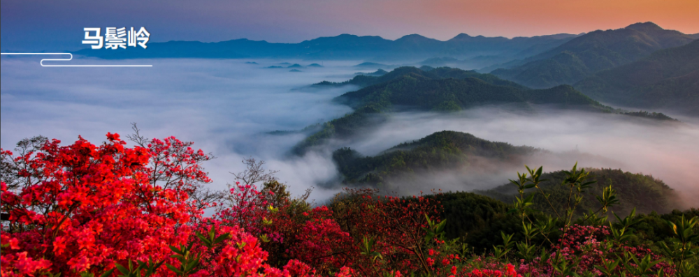 travel 马鬃岭 国家级自然保护区