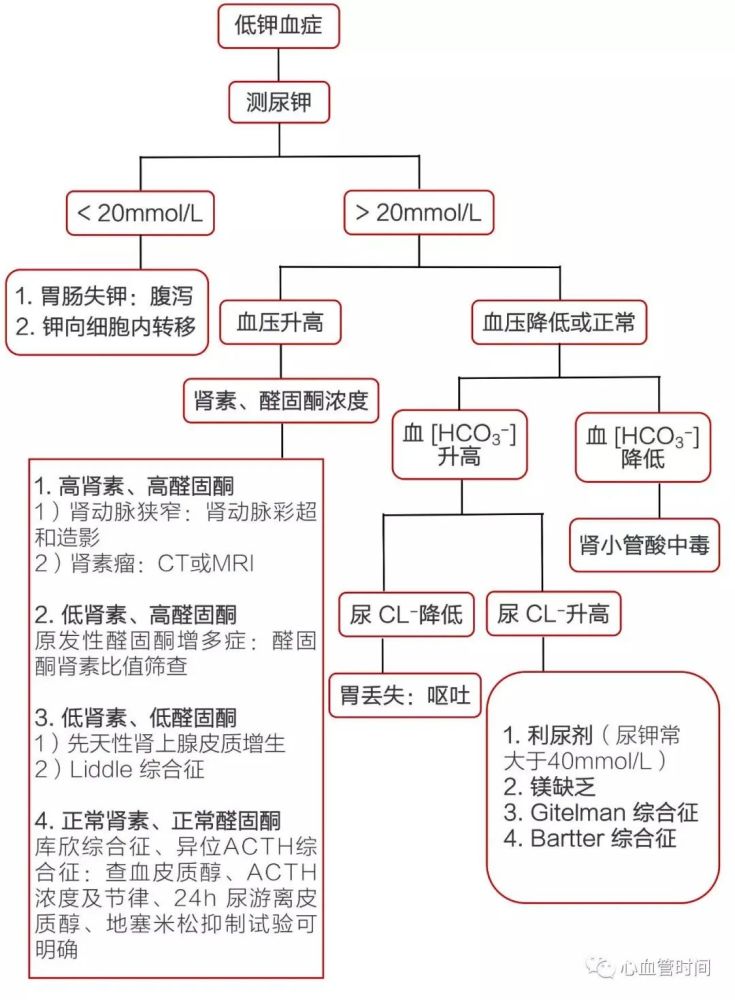 反复发作的低血钾,原来是这个原因